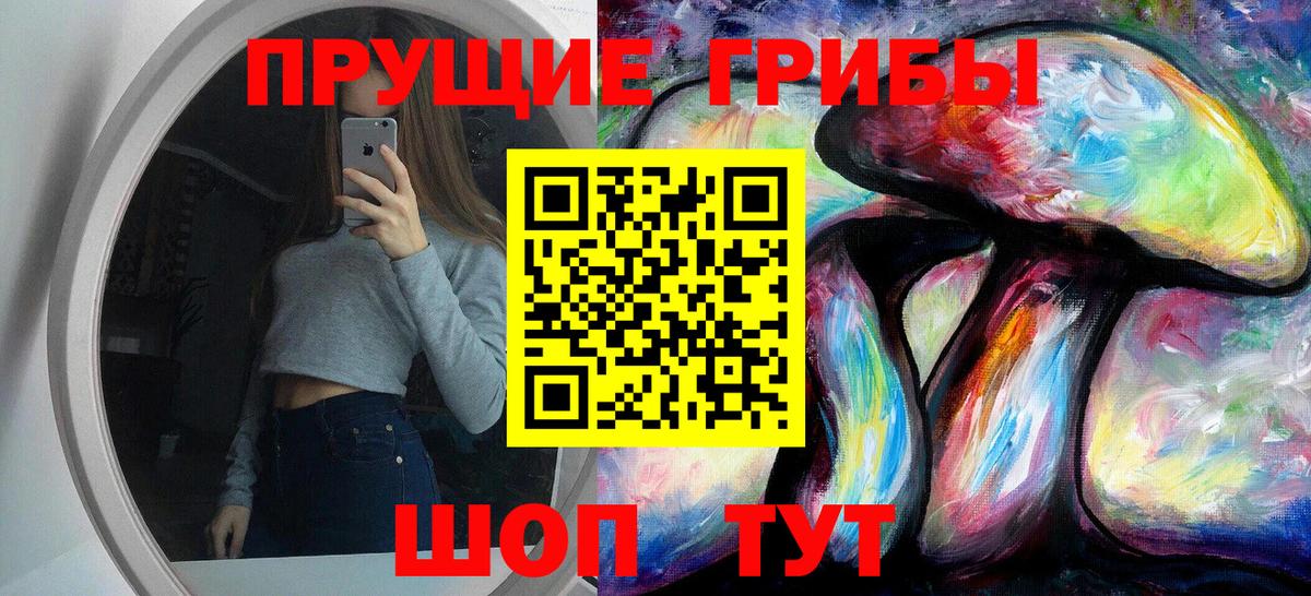 Псилоцибиновые грибы GOLDEN TEACHER  Вход с VPN  Владивосток  Галлюциногенные грибы Cubensis 