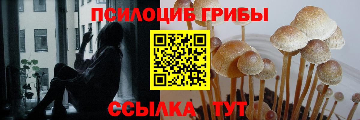 Псилоцибиновые грибы ЛСД Владивосток